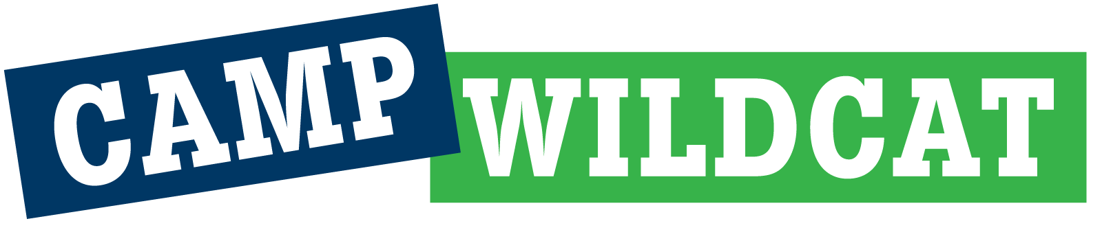Williston Summers Logo