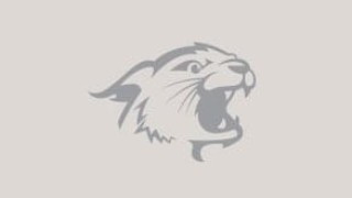 Williston Wildcat logo in gray