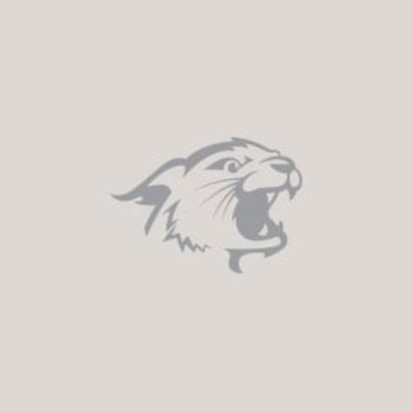 Williston Wildcat logo in gray
