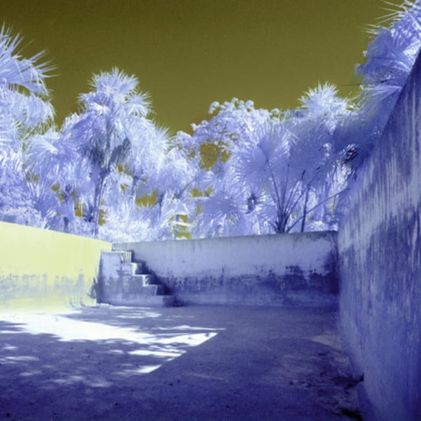 janine-norton-infrared-mexico-grubbs-gallery
