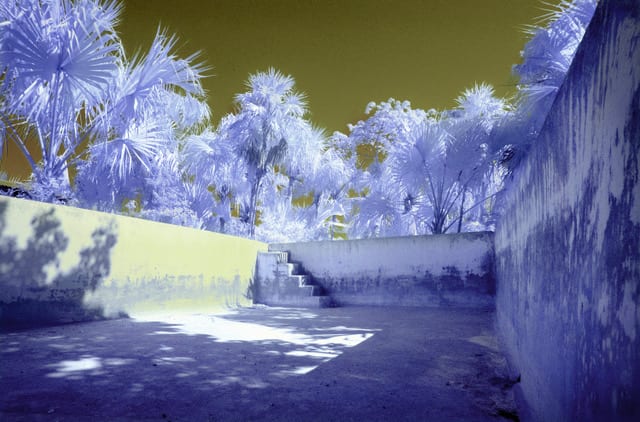 janine-norton-infrared-mexico-grubbs-gallery