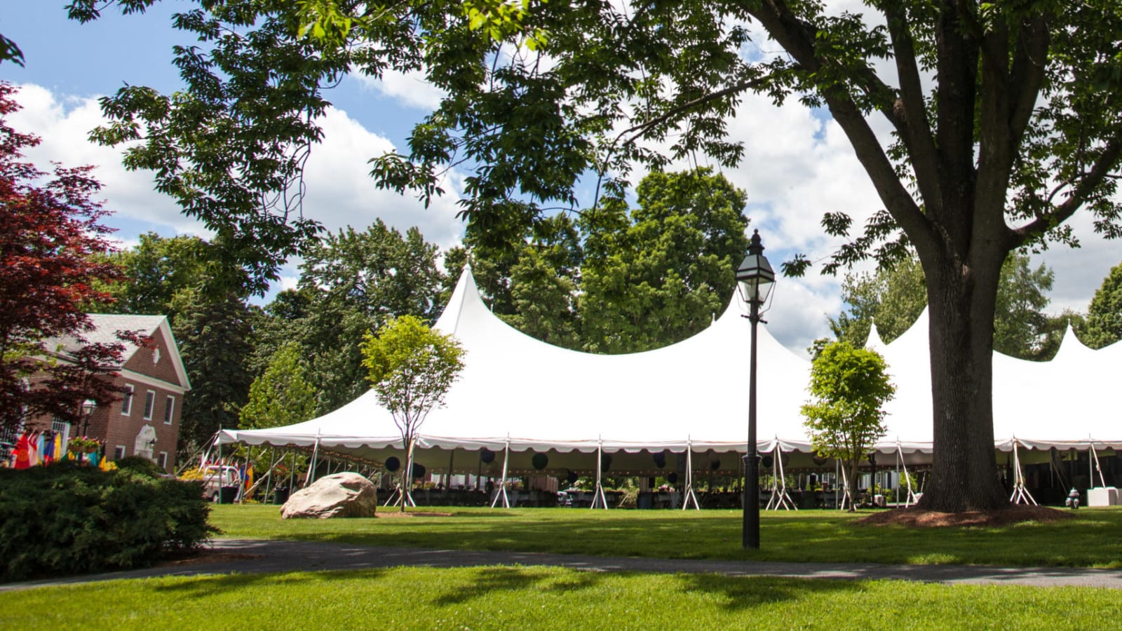 Large white tent and tree on lawn