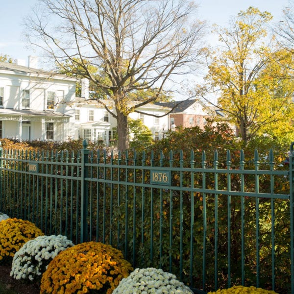 Mums and fence in front of white building