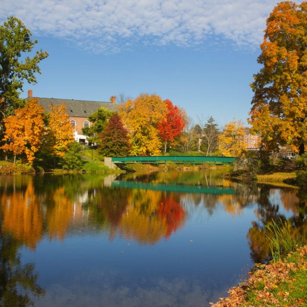Williston campus with pond and bridge
