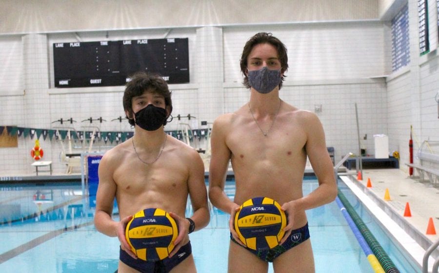 water polo players