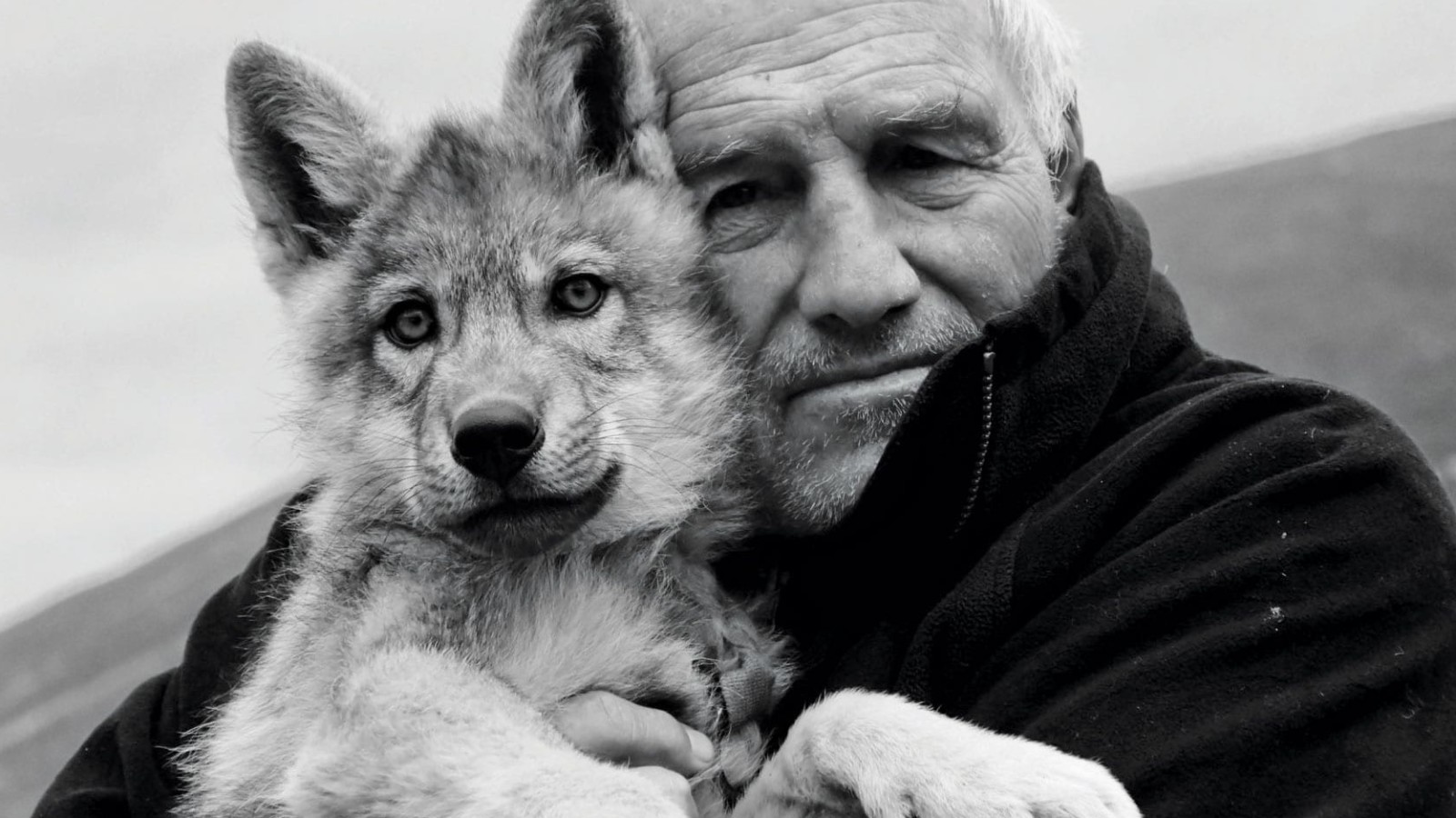 man and wolf cub