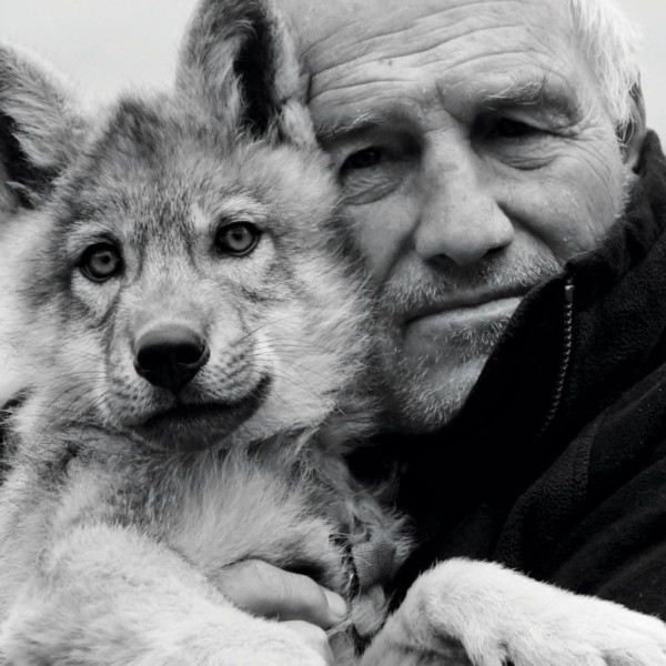 man and wolf cub