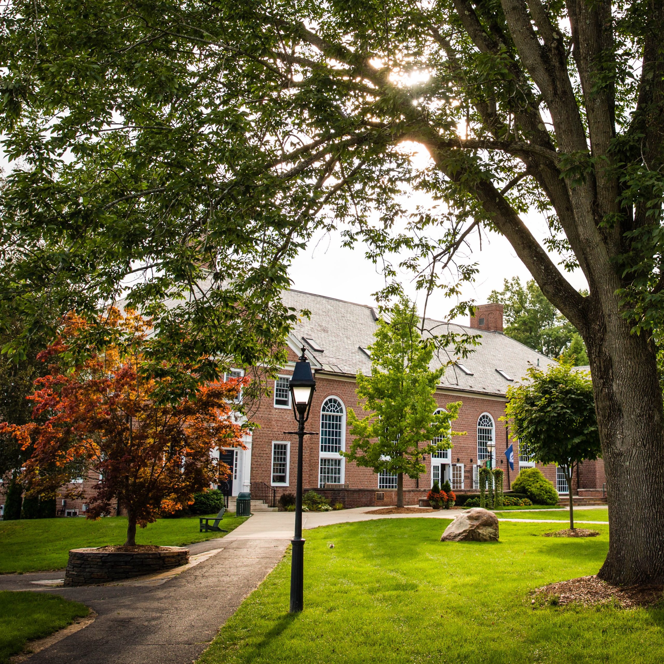 Tree and streetlight in front of path to brick building