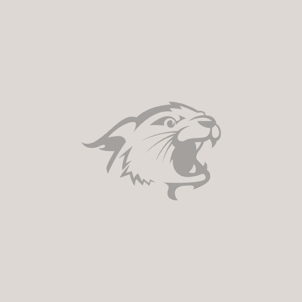 Wildcat logo on gray background