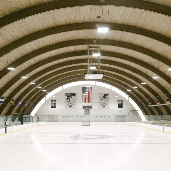 rink-web Hockey Rink
