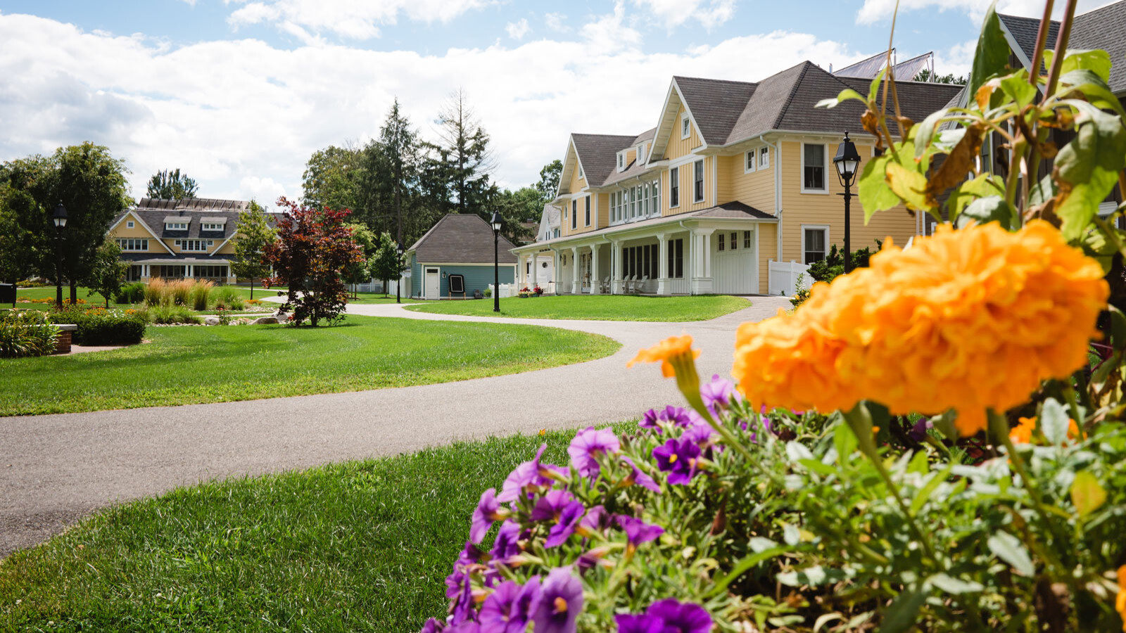 flowers on the residential quad