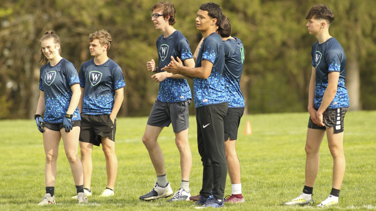 ultimate players on a field