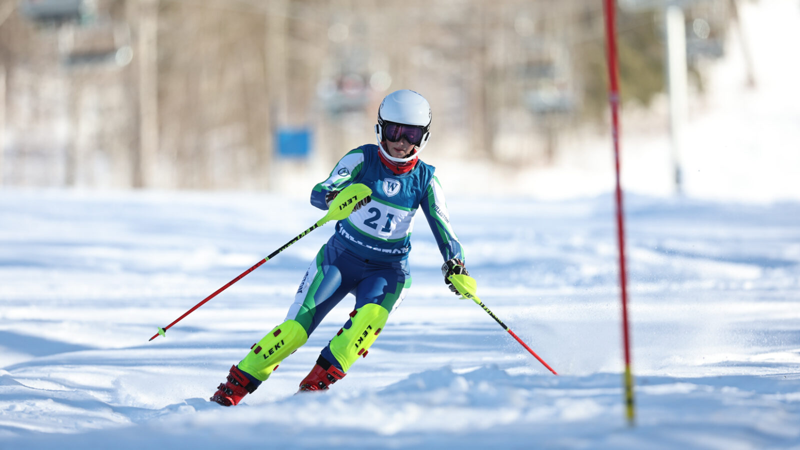 skier