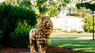 lion statue