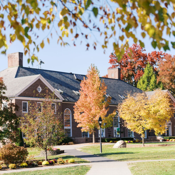 lawn and building with autumn leaves