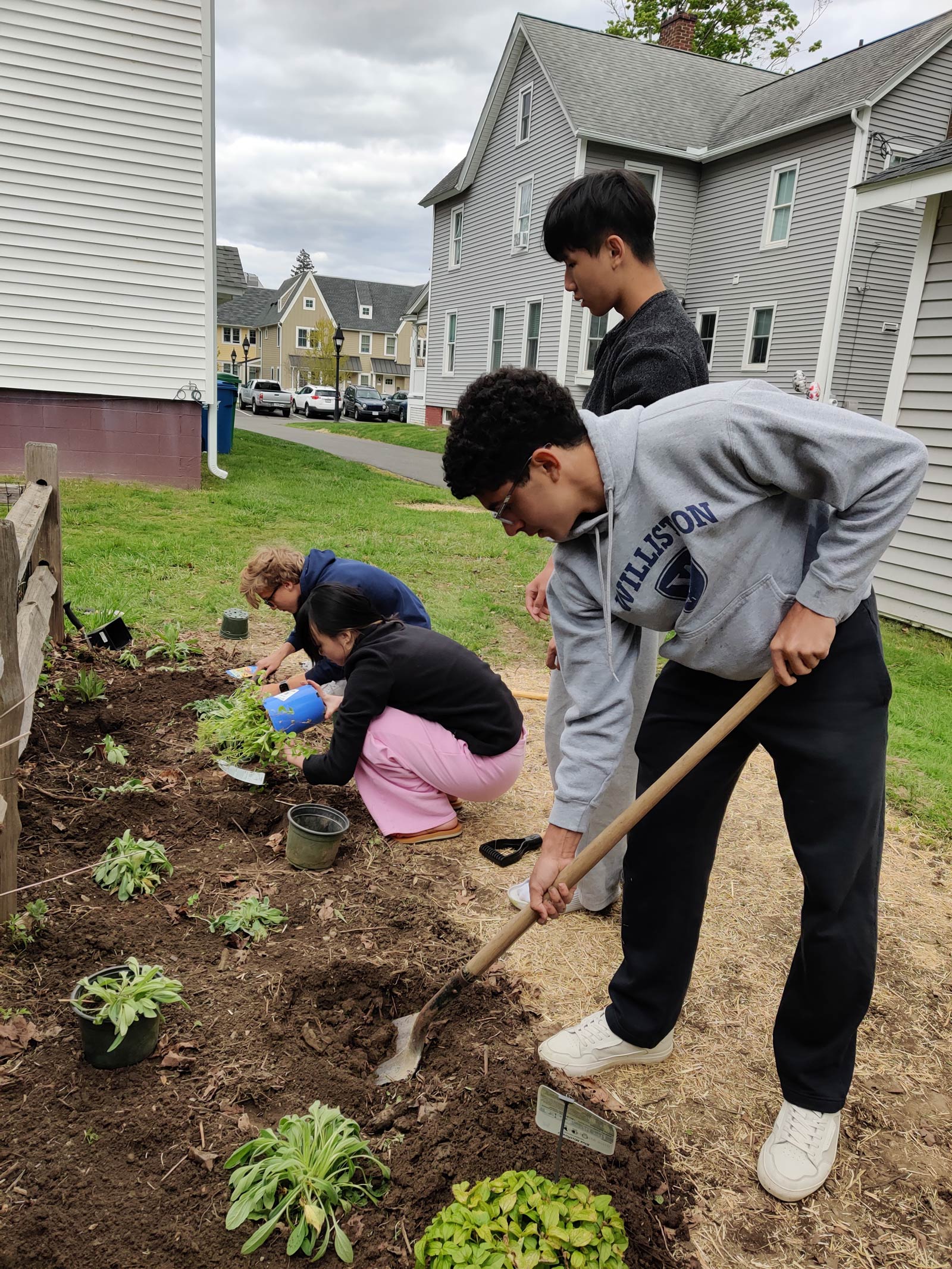 Four Williston students work on planting plants in the Community Garden