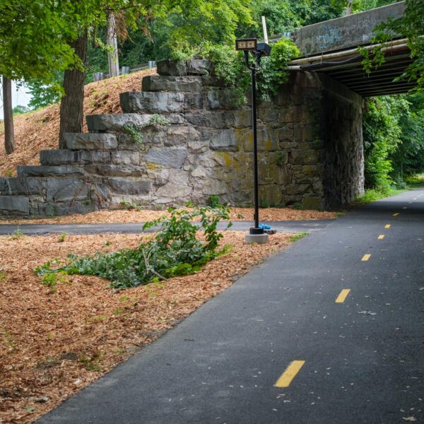 bikepath_web A cyclist rides down the bike path in Easthampton