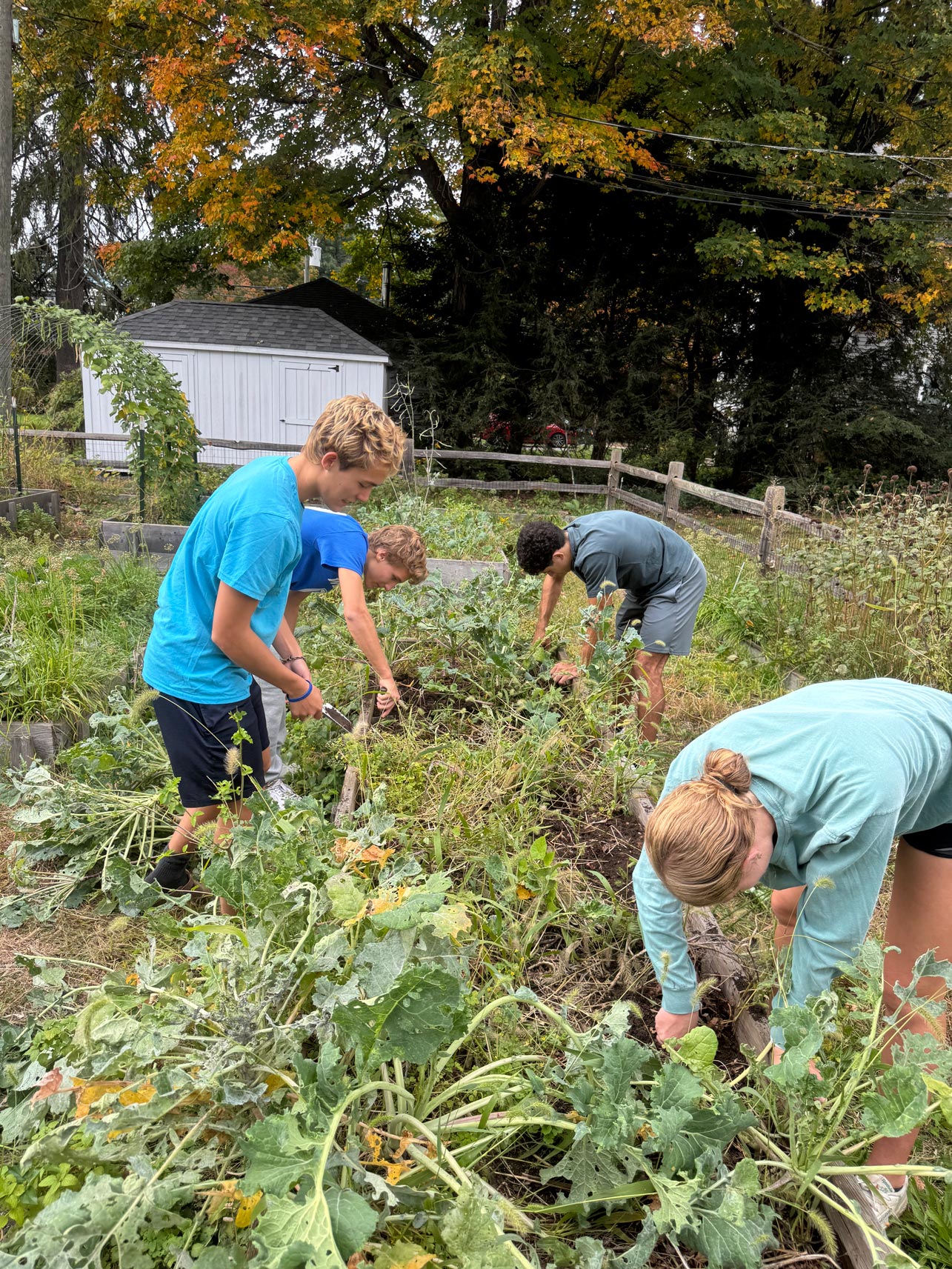 Students work in the community garden