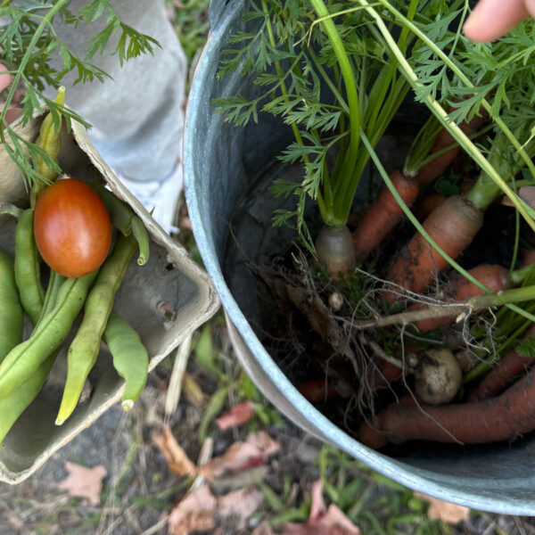 Vegetables harvested from the community garden are shown off
